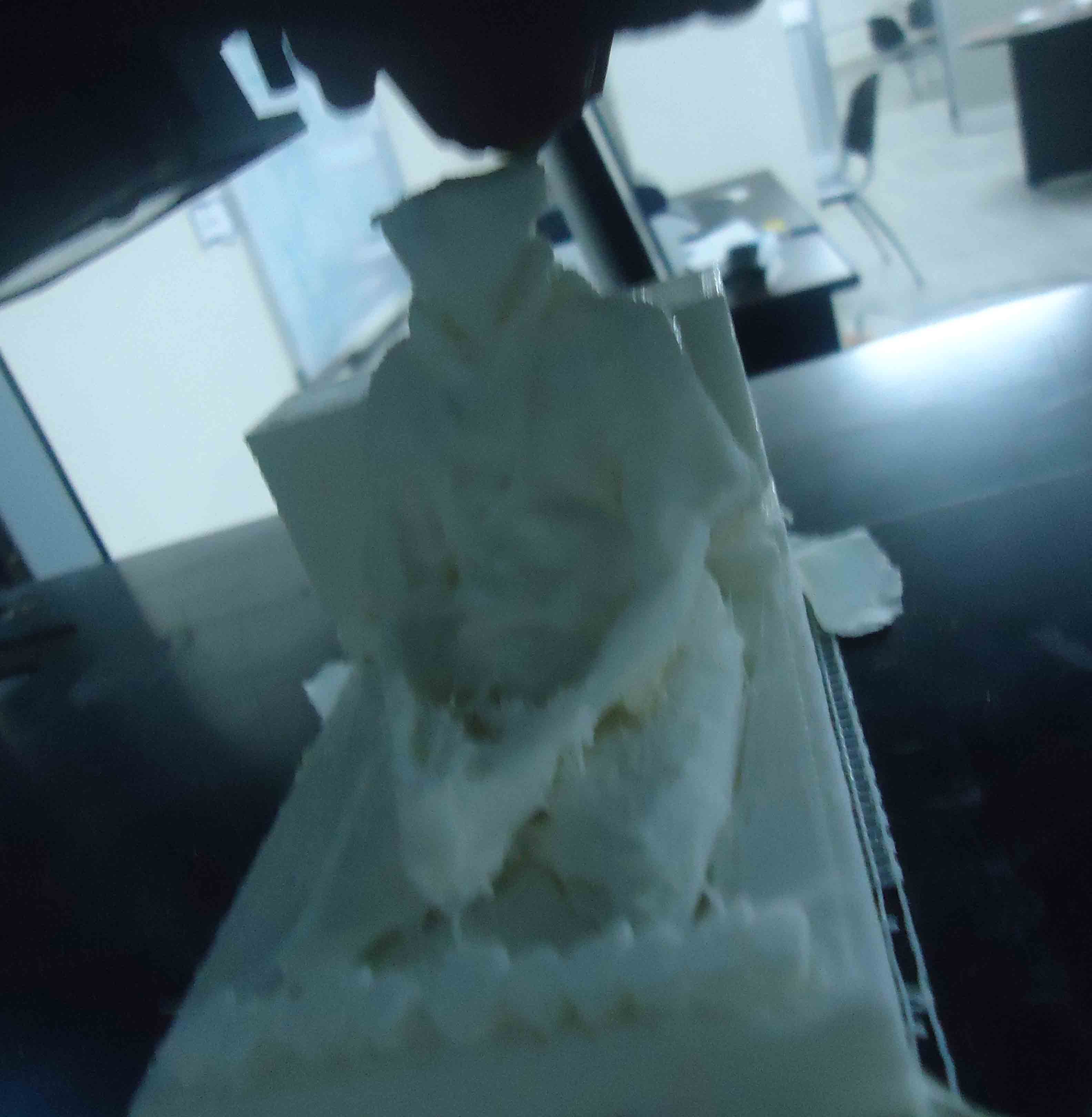 step four printing